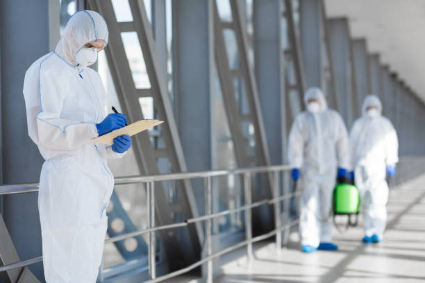 Best Mold Documentation for Insurance Claims  in Hayti, PA