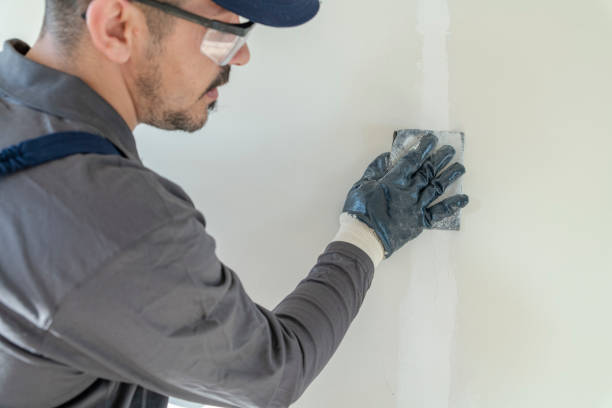 Mold Odor Removal Services in Hayti, PA