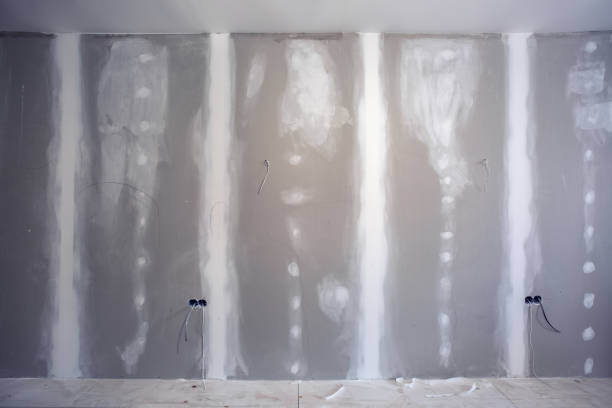 Trusted Hayti, PA Mold Removal Experts